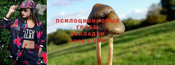 дмт Алзамай