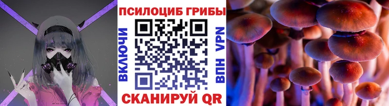 Псилоцибиновые грибы Magic Shrooms  цена   Лысьва 