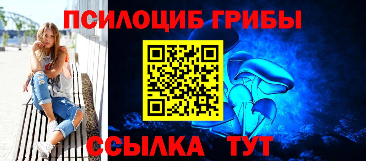 Псилоцибиновые грибы мицелий Лысьва